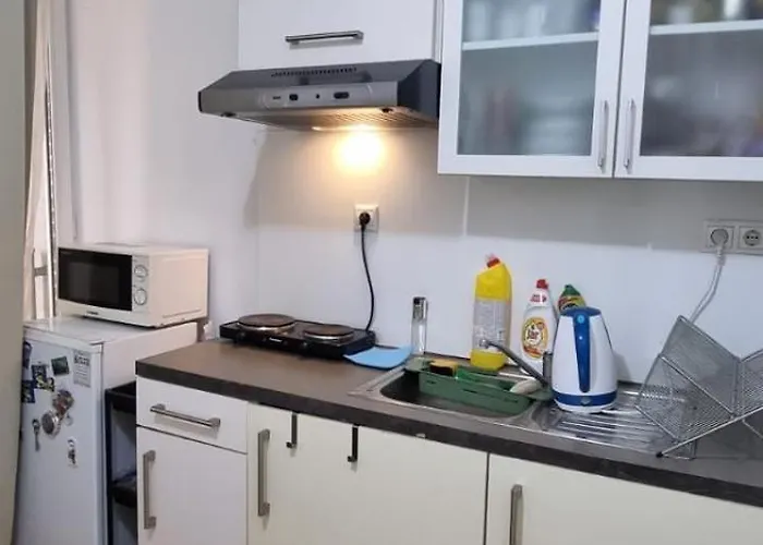 Downtown Flat